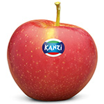 Kanzi appel