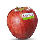Berben Fruit, fruitteler van appel Rubens